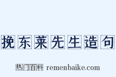 挽东莱先生造句是什么意思的图片